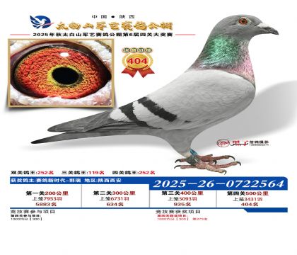 �������վ���404��