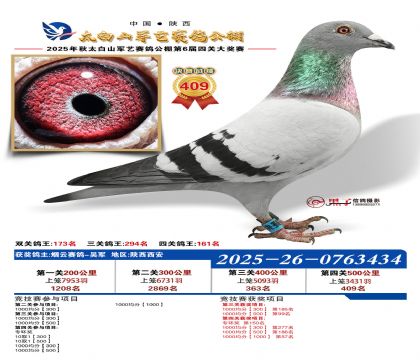 �������վ���409��