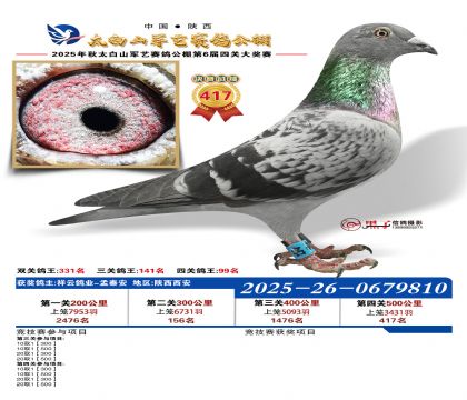 �������վ���417��