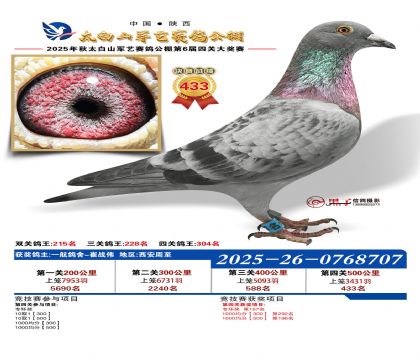 �������վ���433��