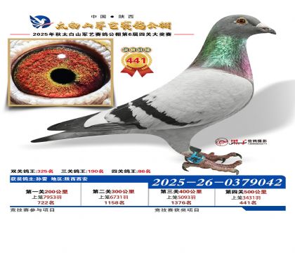 �������վ���441��