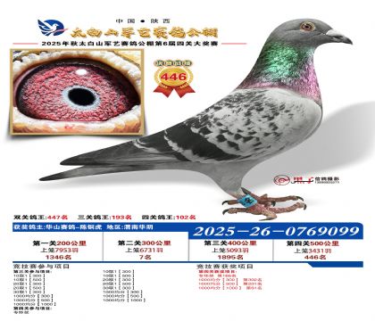 �������վ���446��