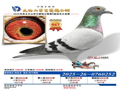 �������վ���447��