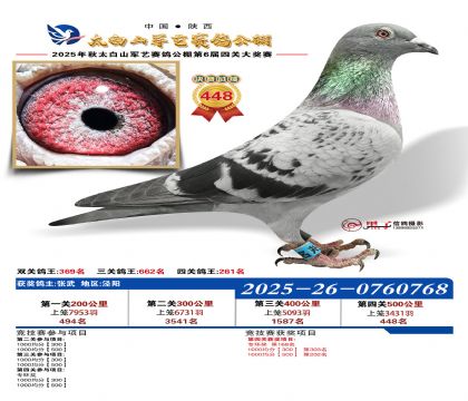 �������վ���448��