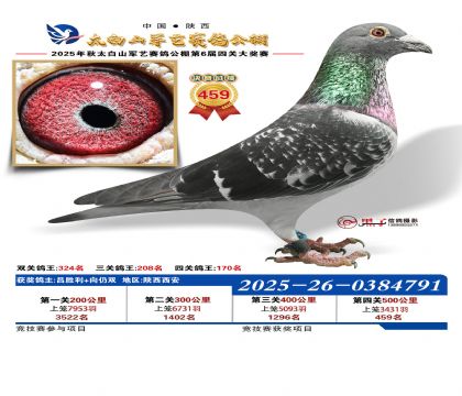 �������վ���459��