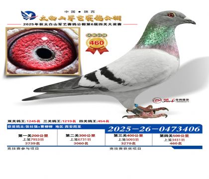 �������վ���460��