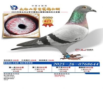 �������վ���477��