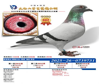 �������վ���482��