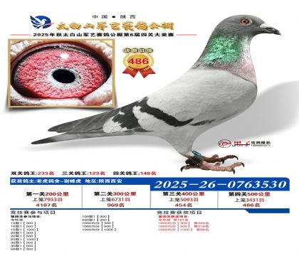 �������վ���486��