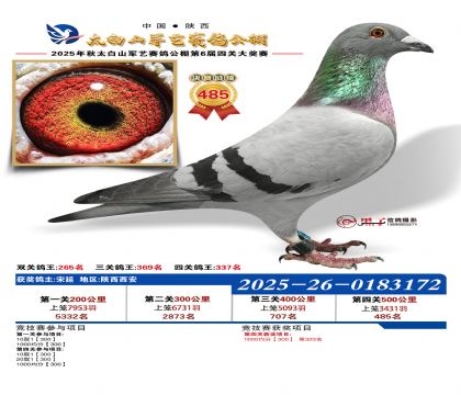 �������վ���485��