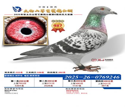 �������վ���487��