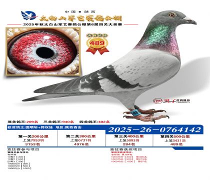 �������վ���489��