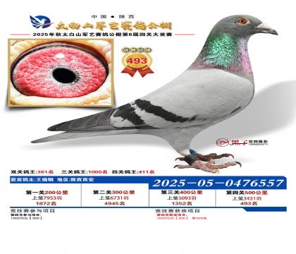 �������վ���493��