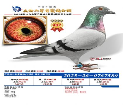 �������վ���497��