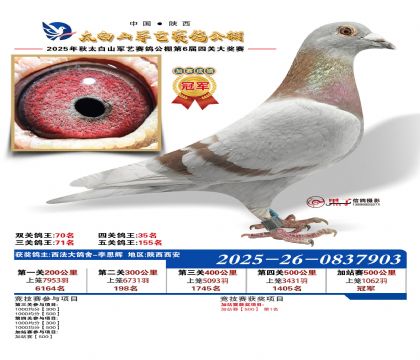 �������ռ�վ���ھ�