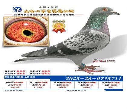 �������ռ�վ��5��