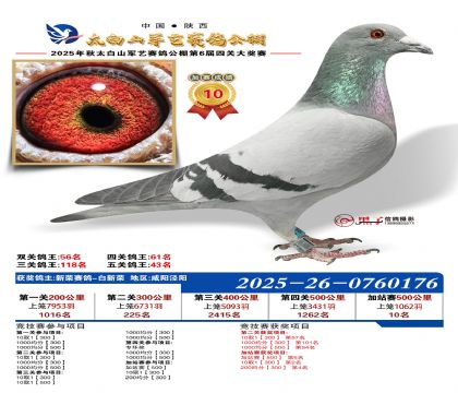 �������ռ�վ��10��