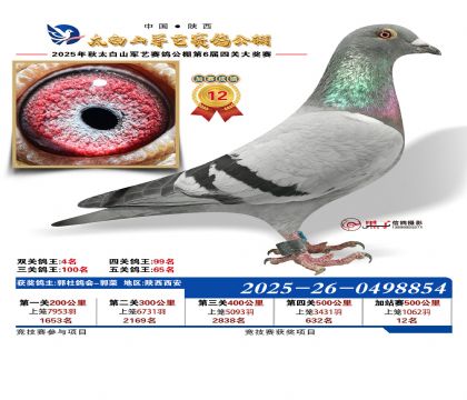 �������ռ�վ��12��