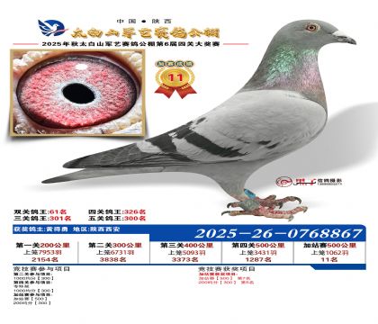 �������ռ�վ��11��