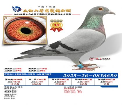 �������ռ�վ��13��