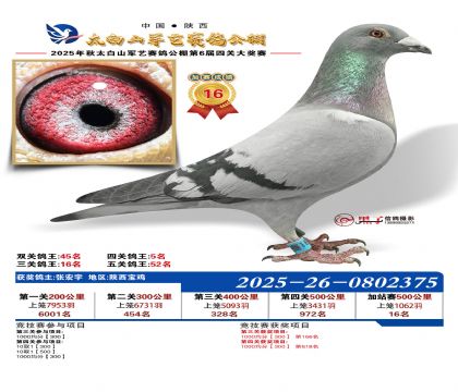 �������ռ�վ��16��