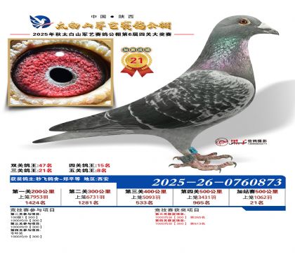 �������ռ�վ��21��