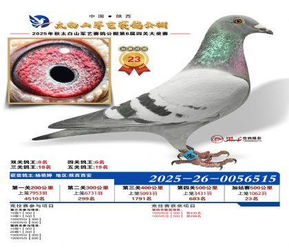 �������ռ�վ��23��