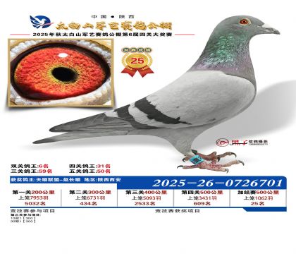 �������ռ�վ��25��