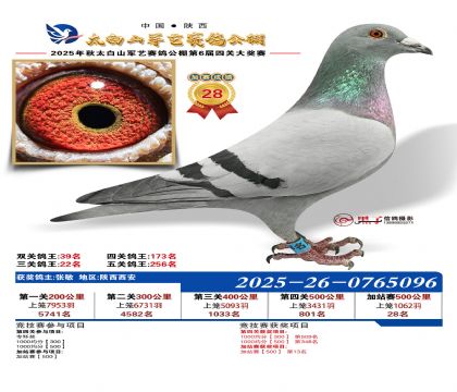 �������ռ�վ��28��