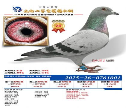 �������ռ�վ��29��