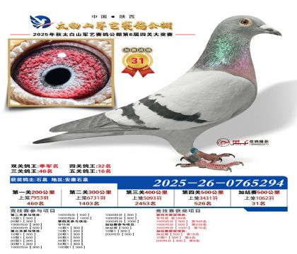 �������ռ�վ��31��