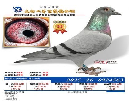 �������ռ�վ��33��