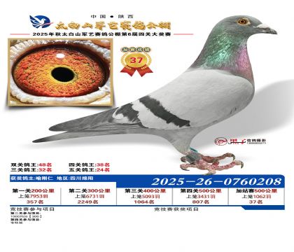 �������ռ�վ��37��