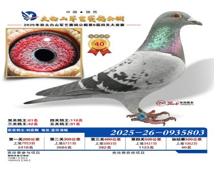 �������ռ�վ��40��