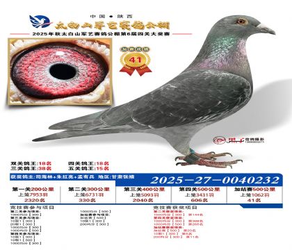 �������ռ�վ��41��