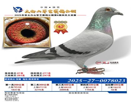 �������ռ�վ��42��