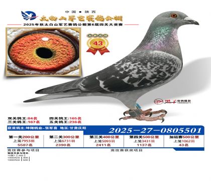 �������ռ�վ��43��