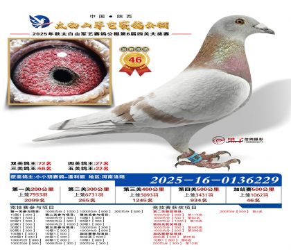 �������ռ�վ��46��