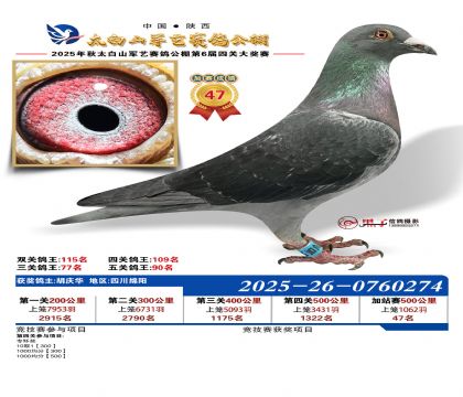 �������ռ�վ��47��