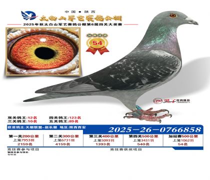 �������ռ�վ��54��