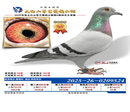 �������ռ�վ��55��