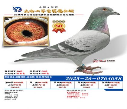 �������ռ�վ��58��