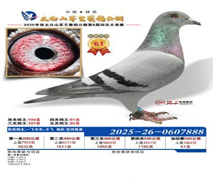 �������ռ�վ��61��