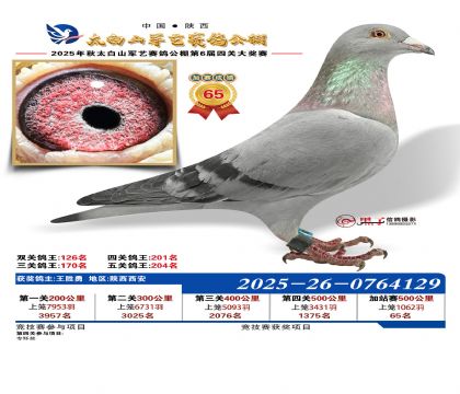 �������ռ�վ��65��