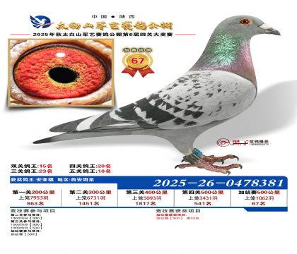 �������ռ�վ��67��