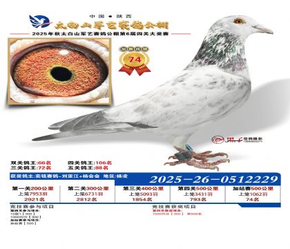 �������ռ�վ��74��