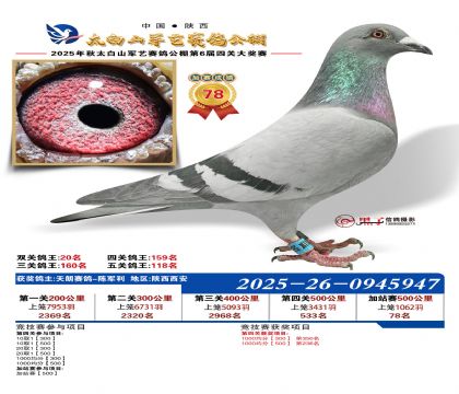 �������ռ�վ��78��