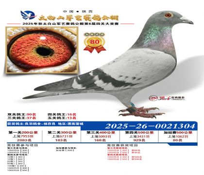 �������ռ�վ��80��