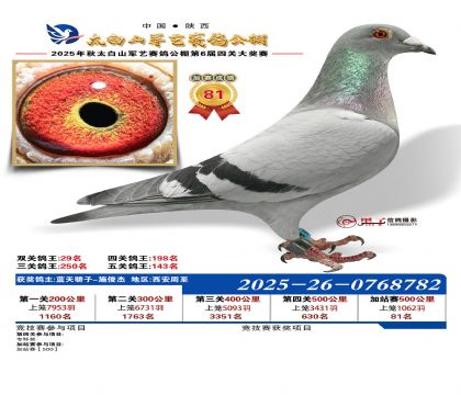 �������ռ�վ��81��