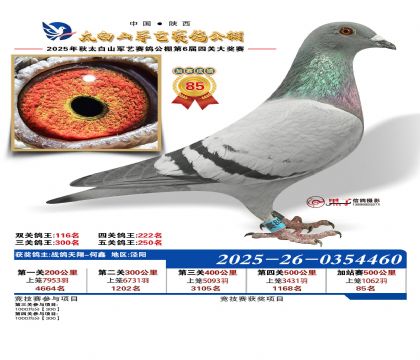 �������ռ�վ��85��